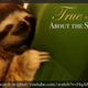 Illustration for article titled Morrissey Being a Dick, Fun Facts about Sloths, and the Science of Color Vision